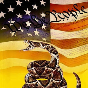 Meet your Posher, Noah